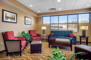 Comfort Inn & Suites - La Grange - 7