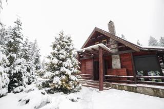Cabane- Vila Crinul si Teodor Poiana Brasov - Poiana Brasov - 0