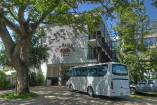 Rain Tree by Oak Ray - Tissamaharama - 4