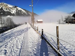 Luna Elk Home - Lenk im Simmental - 8