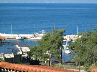 Leandros Hotel - Nea Roda - 1