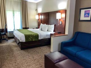 Comfort Suites Regency Park - Cary - 6