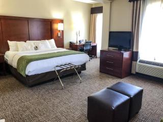 Comfort Suites Regency Park - Cary - 4