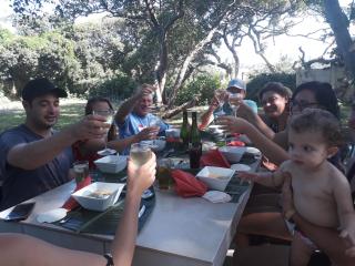 Milkwood Beach Cottages - Shelly Beach - 5