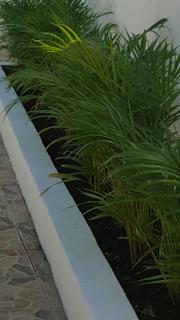 TERRAZAS DEL CARIBE, APARTA HOTEL. - Santo Domingo - 1