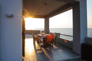 Albatross House - 0