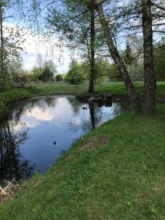 Siedlisko Nasza Chata - Popiołki - 1