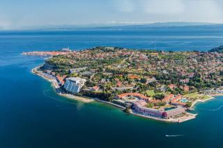 Synergy Deluxe Apartments - Sečovlje - 5