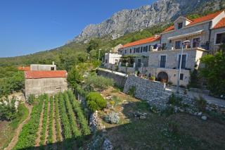 Holiday home Piece of Peace - Agrotourism - Zaostrog - 7