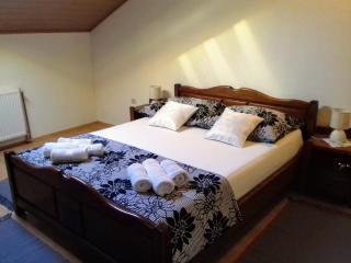 Bicho House - 1