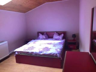 Vila Panoramica Sinaia - 9