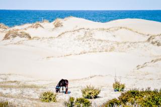Almost Paradise - 5