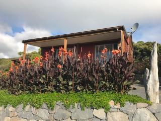 Piha Tiny House - Piha - 6