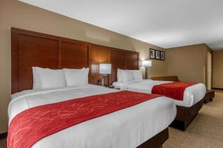 Comfort Suites Pelham Hoover I-65 - Pelham - 6