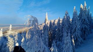 Pokoje z Widokiem na Szczyrk - 5