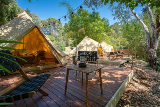 Castlemaine Gardens Luxury Glamping - Castlemaine - 2