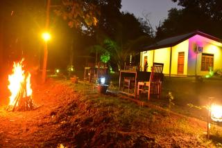 Little Ele Safari Lodge - 6