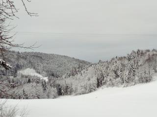 Gasthof-Hotel Dilger - 2