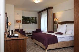 Hotel Mercure Krynica Zdrój Resort&Spa - Krynica-Zdrój - 6
