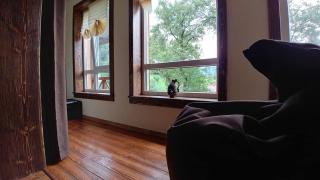 Country House Kosiv - 3