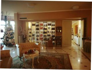 Hotel Arimannia - 1