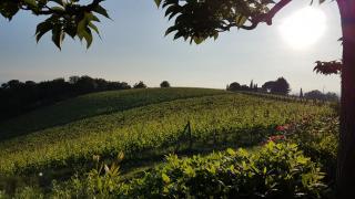Le Fonti A San Giorgio - Montespertoli - 7