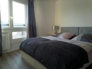 Swiss Seeblick Apartment mit Hotelanbindung - 2