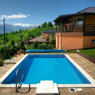 Vila Sani - Sarajevo - 0