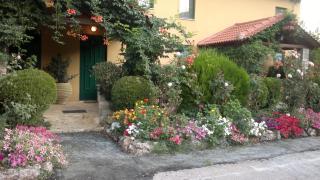 Aphrodite's Inn Kalavrita - 1