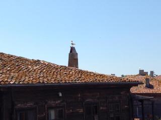 Tatjana Apartments - 1