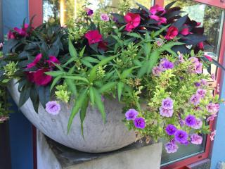 Arthotel Restaurant Pfeffermühle - 7