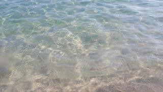 Alloggio in Spiaggia - Torre Vado - 0