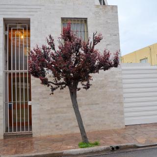Vía Lavalle Suites 1 - San Luis - 0