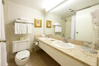Toronto Don Valley Hotel and Suites - Toronto - 7