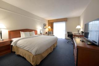 Toronto Don Valley Hotel and Suites - Toronto - 5