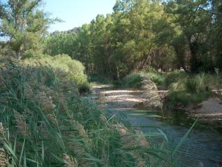 Casa Rural Parajes del Júcar - Casas de Benítez - 5