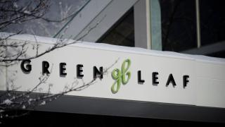 The Green Leaf, Niseko Village - Niseko - 2