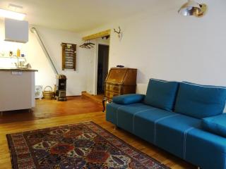 Apartment Center - Gmunden - 6
