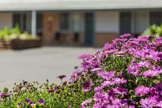 Maffra Motor Inn - Maffra - 9
