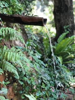 Gammaduwa Heritage Bungalow and Tea Gardens - Matale - 2