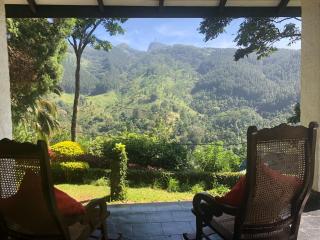 Gammaduwa Heritage Bungalow and Tea Gardens - Matale - 6