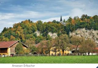 Ferienwohnung Alpenblick - Kuchl - 0