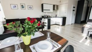 Apartamenty Izerskie - ul. Cicha 13D-E - Świeradów-Zdrój - 7