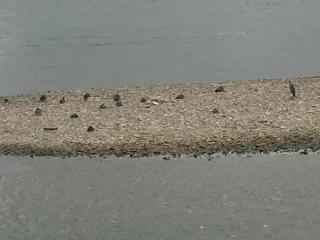 Apartment Köln Ensen - 3