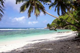 Surfers Beach Self Catering Chalets - 6