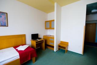 Hotel Smaragd - Praga - 5