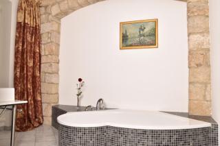 Apartmenthaus Albrechtsburg - Bad Schandau - 7