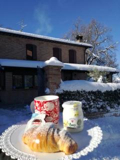 Il Castagneto - Camerino - 0
