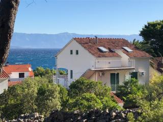 Apartment Božiković - Jelsa - Vitarnja - Jelsa - 7