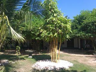 Akurala Beach Park - 1